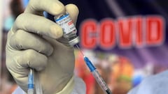 Vacuna SinoPharm: por qué Alberto Fernández quiere fabricarlas en Argentina y qué necesita