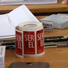 Elecciones Primarias 2020: cómo saber cuáles son mis datos electorales con mi RUT