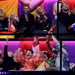 What is the flag that Nemo, Switzerland’s representative at Eurovision 2024, has on him? Origin and meaning