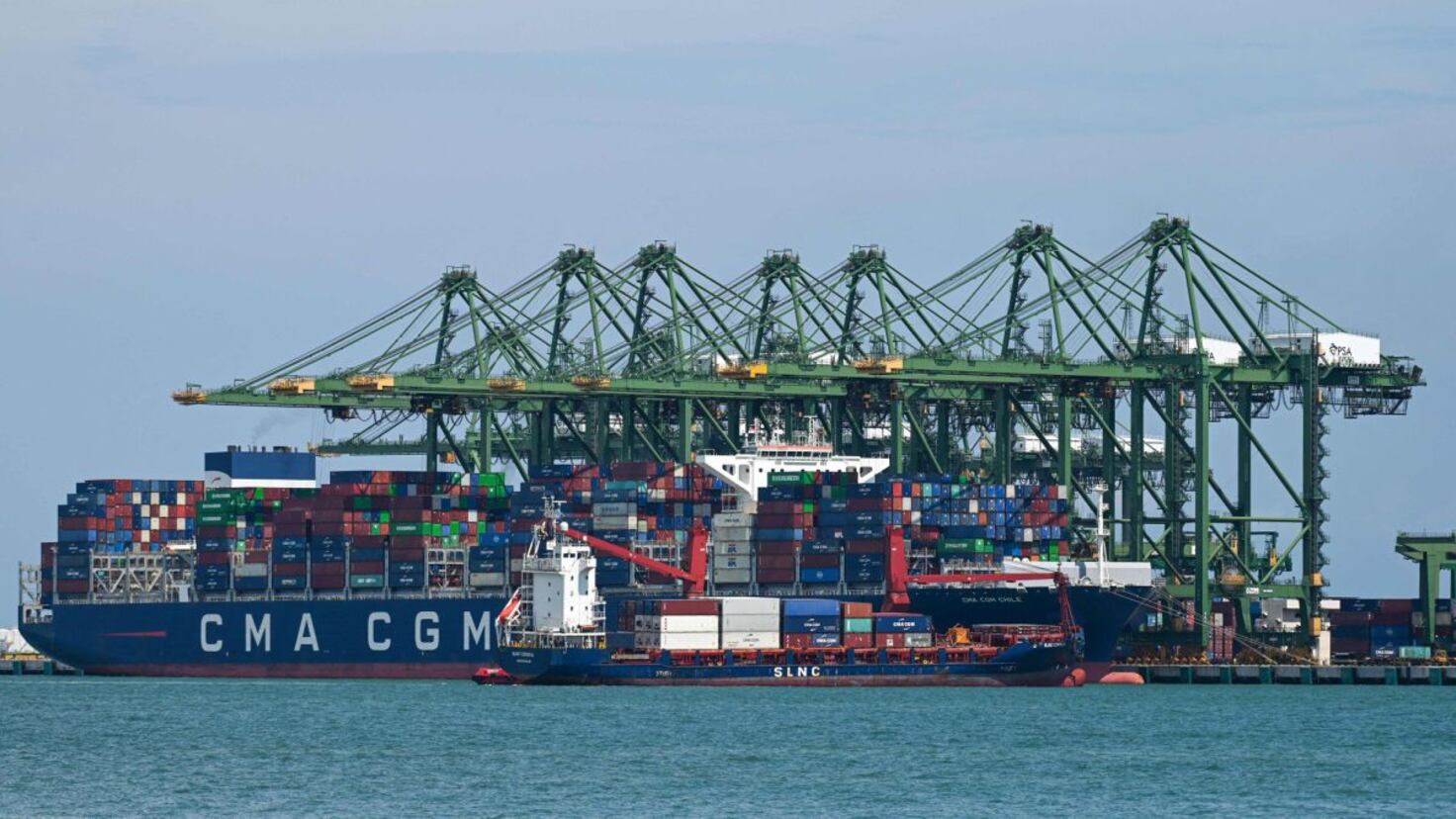 Reino Unido lanza una alerta de “hambruna mundial”