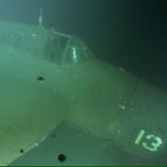 A ‘remarkably intact’ U.S. bomber reappears at a 1950 war grave with a ‘obvious superstitious element’