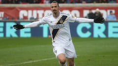 Ibrahimovic: I'm going to the World Cup