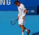 David Ferrer: "La Copa Davis no es mi prioridad ahora mismo"