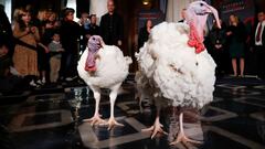 Why does the president pardon a turkey? Behind the White House Thanksgiving tradition