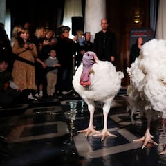 Thanksgiving tradition: These are some of the names of the White House turkeys pardoned by U.S. presidents