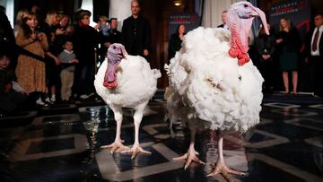 For several decades at the White House a corny ceremony has taken place where the president pardons a turkey or two but subjects the public to bad puns.