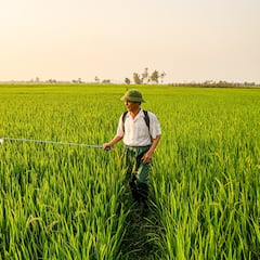 Alec Deane, ingeniero agrónomo de 70 años: “Hemos construido más de 102 pozos, algunas empresas ayudan pero necesitamos más”