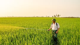 Alec Deane, ingeniero agrónomo de 70 años: “Hemos construido más de 102 pozos, algunas empresas ayudan pero necesitamos más”