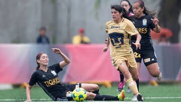 F&uacute;tbol Femenil