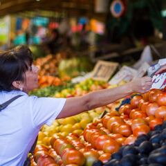 Bolsillo Familiar Electrónico: cuándo se paga, quiénes lo recibirán y cómo se carga en la CuentaRut