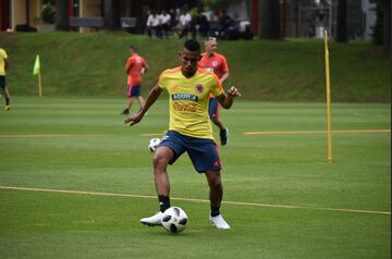 La Selección Colombia sigue su preparación en Milan pensando ya en Egipto, rival al que enfrentará este viernes en Bérgamo, Italia, en partido amistoso previo a Rusia. Con un grupo de 24 jugadores, los dirigidos por Pékerman hicieron trabajo con balón.