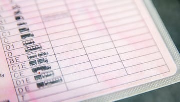 Polish driver's license