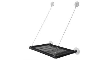 ¿Tienes un gato? Estos 10 productos son básicos para el bienestar de tu primera mascota