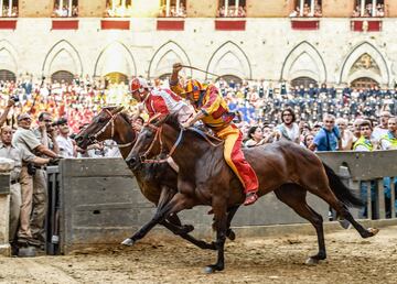 El vencedor de este Palio ha sido el jinete de la contrada "Giraffa" Giovanni Atzeni, conocido como "Tittia", con su caballo Tale. (En la imagen el jinete de color rojo y blanco).