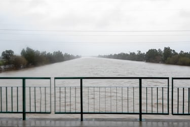 El río Guadalquivir con un caudal más elevado por la zona de la Cartuja. 