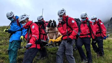 Daisy, la rescatadora rescatada