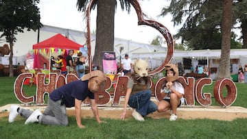 ¡Se pasaron! Los “therians” llegaron a Chimbarongo con espectaculares máscaras de mimbre