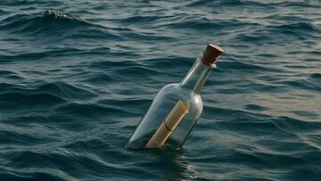 After more than a decade, the bottle made its way from the Canadian coast to Ireland, to the disbelief of everyone involved.