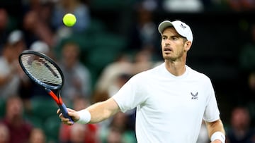 El tenista británico Andy Murray, durante su partido ante James Duckworth en Wimbledon.