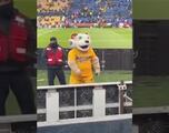 Vídeo: La vulgar seña de la mascota de Tigres a la afición de Monterrey en el Clásico Regio