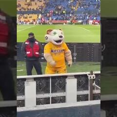 Vídeo: La vulgar seña de la mascota de Tigres a la afición de Monterrey en el Clásico Regio