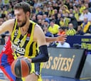 Guduric vuelve al Fenerbahçe después de su paso por la NBA