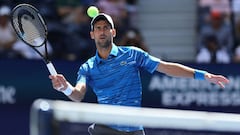 Djokovic: "Iré a la Davis porque quiero representar a mi país"