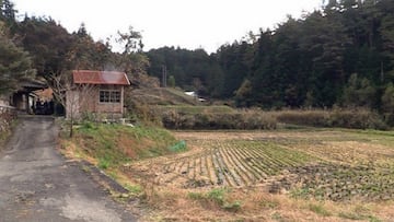 Jap&oacute;n lucha contra el &eacute;xodo rural ofreciendo subvenciones de hasta 30.000 euros a las familias que cambien la ciudad por el ambiente rural.