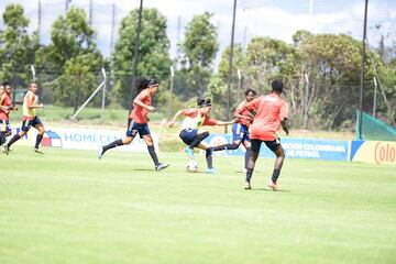 Las dirigidas por Carlos Paniagua iniciaron sus entrenamientos en la Sede Deportiva de la Federación Colombiana de Fútbol en Bogotá.