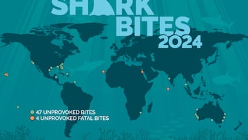 Mapa mundial de ataques de tiburón en 2024
