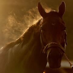 Road to the Kentucky Derby 2024: how do horses qualify for the race?