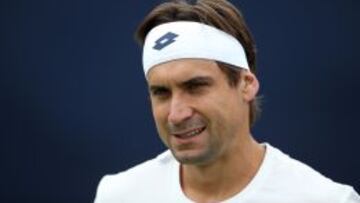 David Ferrer