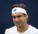 Ferrer renuncia a Wimbledon por una lesión en el brazo