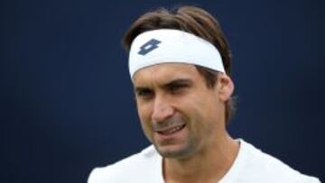 Ferrer renuncia a Wimbledon por una lesión en el brazo