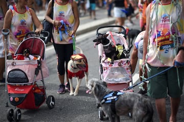 Perros y sus dueños asisten al desfile de carnaval de perros "Blocao", durante las festividades previas al carnaval en Río de Janeiro, Brasil.