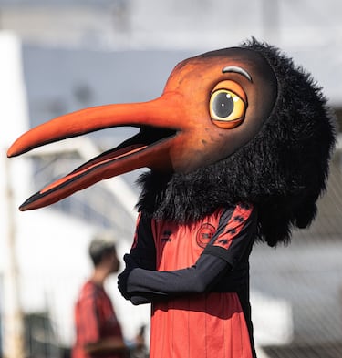 En ese mismo afán de reírse de las desgracias propias, la mascota de la entidad, que es un ibis eremita, ave sagrada de la mitología egipcia, recibe el nombre de “derrotinha” y porta en la espalda el dorsal 55, por los partidos que estuvo sin ganar el club en los 80. 

