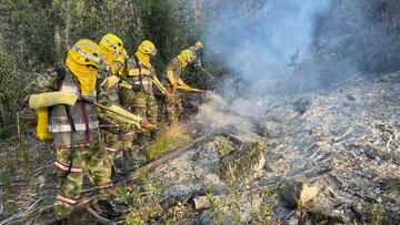 Incendio forestal en Guatavita. Conozca cómo fueron las labores para atacarlo y las consecuencias que deja la conflagración cerca al Embalse de Tominé.