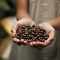 El producto que tomamos a todas horas en España y que en Alemania están empezando a guardar bajo llave por los robos