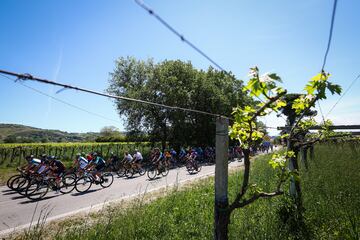 El pelotón durante la tercera etapa del Giro de Italia 2023 con 202 km de recorrido entre Vasto y Melfi.