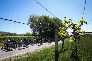 El pelotón durante la tercera etapa del Giro de Italia 2023 con 202 km de recorrido entre Vasto y Melfi. 
