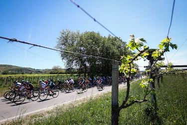 El pelotón durante la tercera etapa del Giro de Italia 2023 con 202 km de recorrido entre Vasto y Melfi. 
