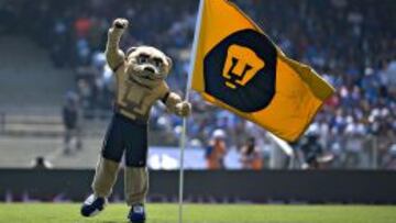 Enrique Graue fijo la postura de la Universidad Nacional Autónoma de México