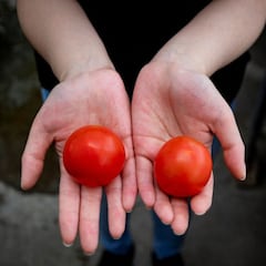 Creados dos tomates que producen la misma Vitamina D que dos huevos
