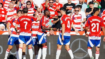 Los jugadores del Granada celebran un gol.
