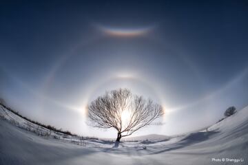 Las espectaculares imágenes del Weather Photographer of the Year 2024