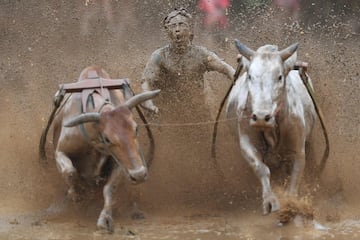 La "pacu jawi" es una carrera tradicional con toros de interés cultural que se disputa cada año en la localidad en Pariangan de Tanah Datar. Se desarrolla en campos húmedos después de la cosecha. La carrera sirve para que los ganaderos exhiban sus reses a