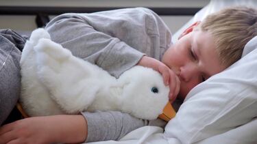 El pato robot que ayuda a los niños con cáncer