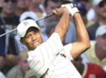 Captura de pantalla - tiger_woods_ipo.jpg