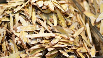 La planta medicinal que se ha usado durante generaciones y que previene las enfermedades respiratorias y el aparato digestivo