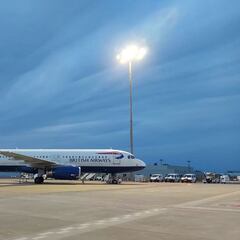 Una tortuga paraliza el aeropuerto de Tokio